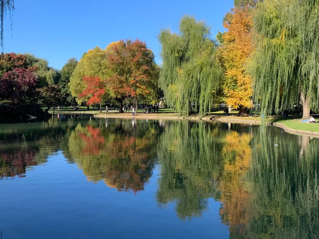 Peaceful lake reflecting colorful fall trees with green, orange, and yellow leaves under a clear blue sky.