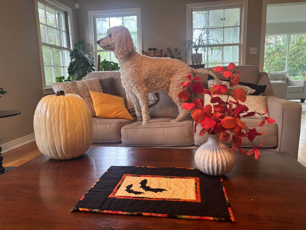 A cream-colored poodle stands on a sofa behind a coffee table styled with a quilted Halloween placemat, white pumpkin, and red autumn leaves in a vase.